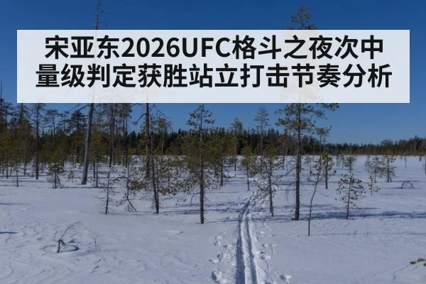 宋亚东2026UFC格斗之夜次中量级判定获胜站立打击节奏分析