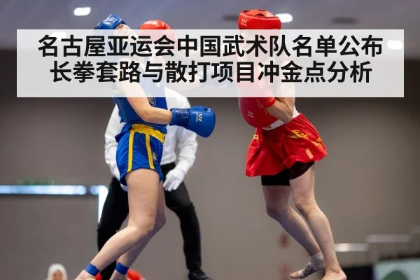 名古屋亚运会中国武术队名单公布 长拳套路与散打项目冲金点分析