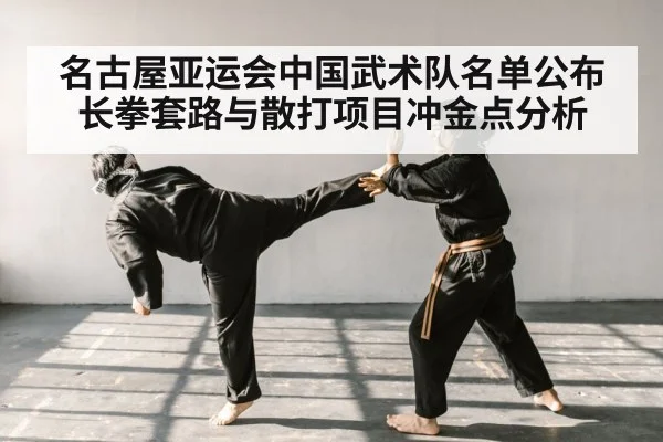 chinese martial arts sparring